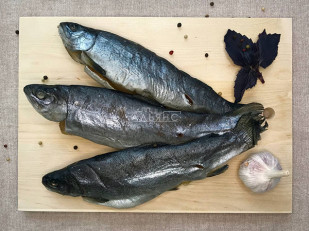 Кальмар филе с перцем (хот тейс): Форель радужная вяленая