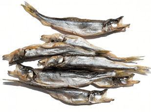 Снеки к пиву: Корюшка (мелкая) вяленая (Камчатка)